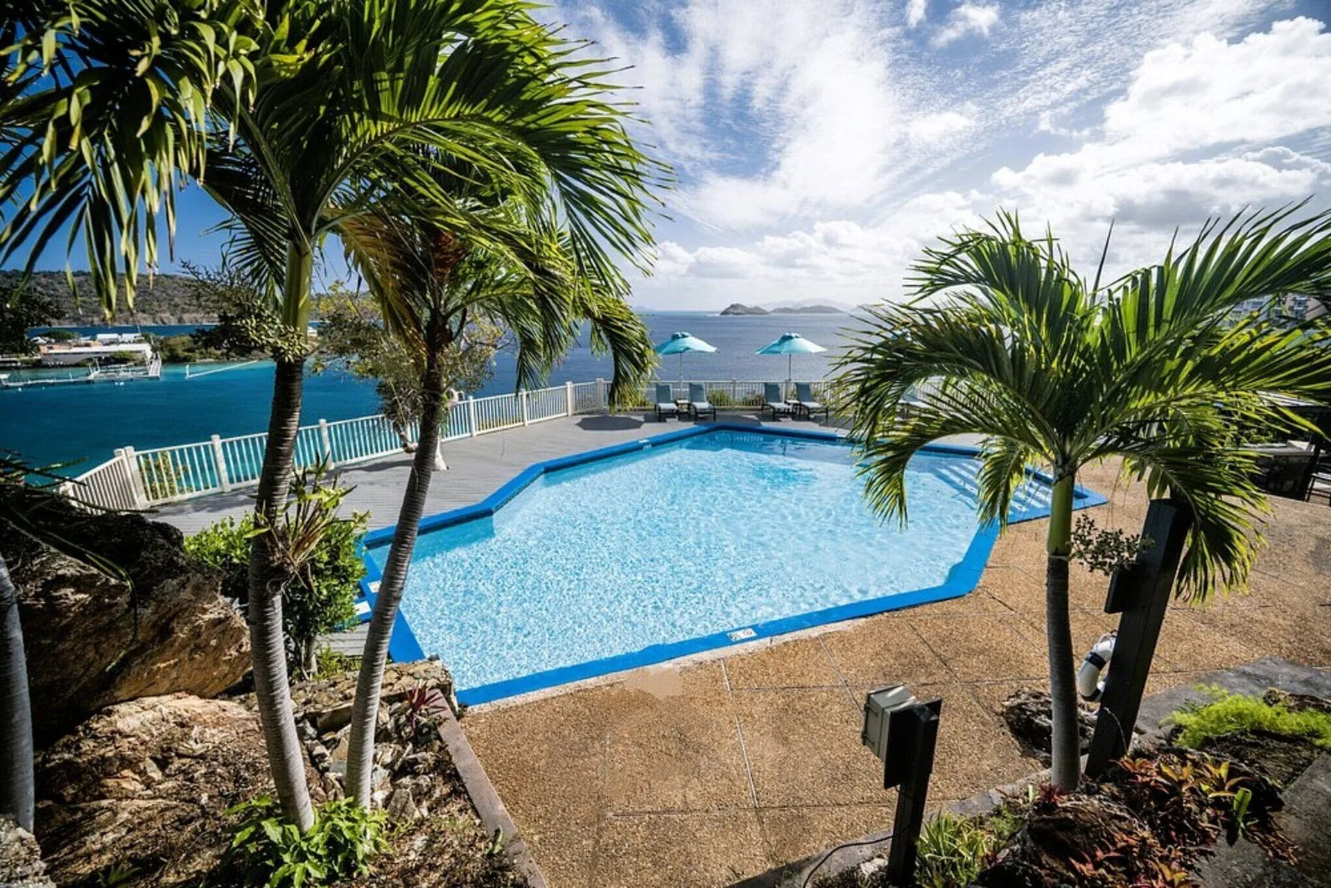 Pool deck with palm trees and ocean view at Point Pleasant Resort.