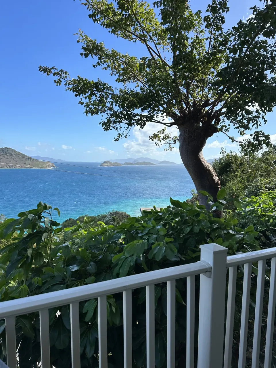 Studio balcony railing with tree, greenery, and ocean view at Point Pleasant Resort.