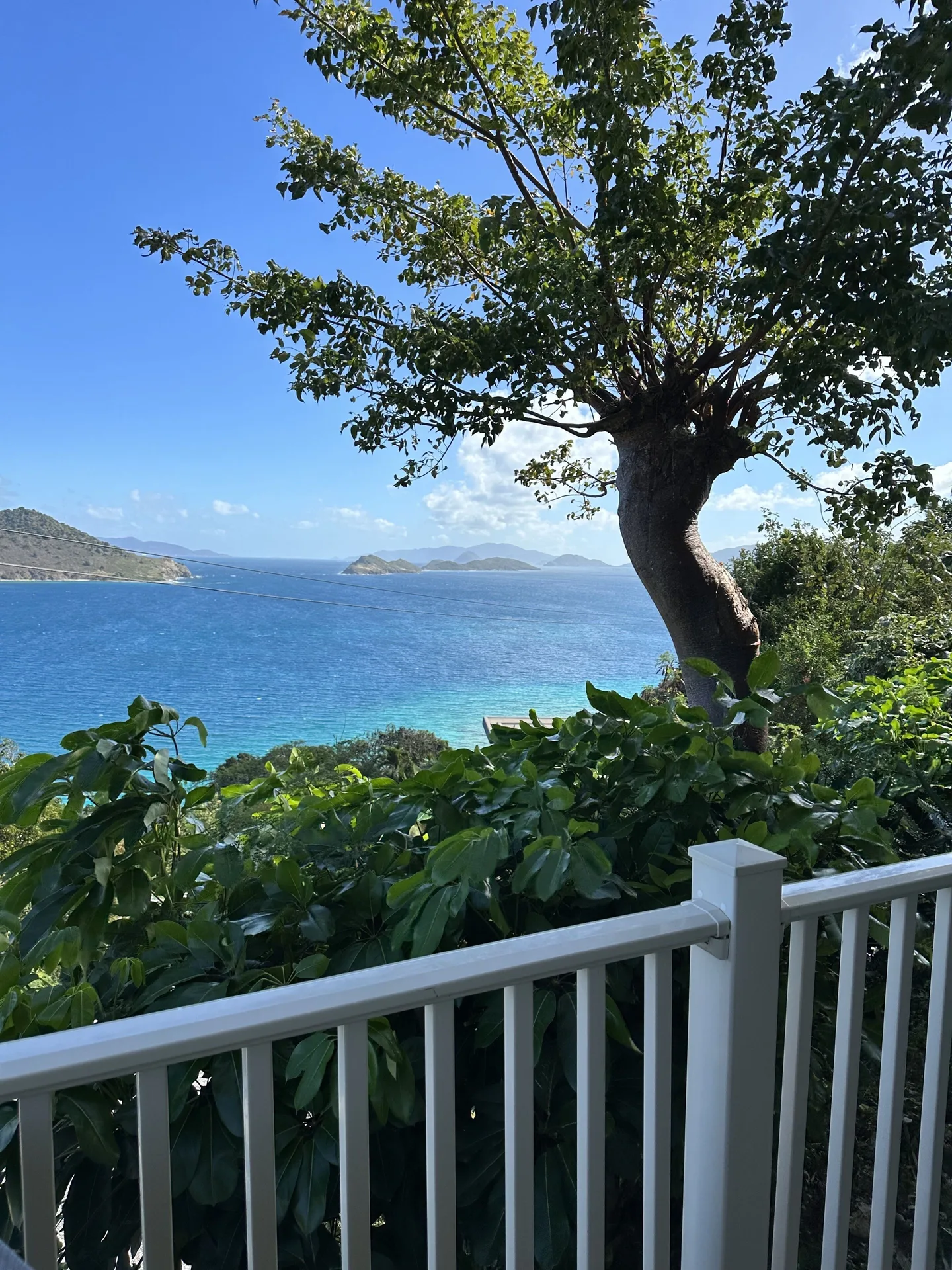 Studio balcony railing with tree, greenery, and ocean view at Point Pleasant Resort.