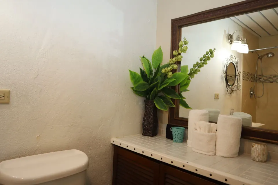 Studio bathroom vanity with mirror, towels, and decorative greenery at Point Pleasant Resort.