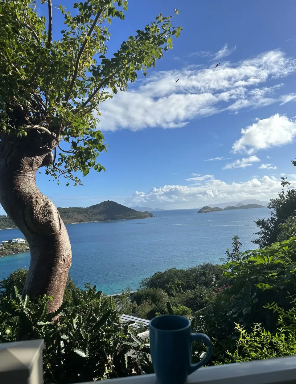 Studio balcony view of blue water, islands, trees, and a mug at Point Pleasant Resort.