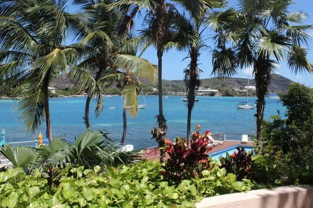 Studio terrace view of palms, bay, boats, and pool at Point Pleasant Resort.