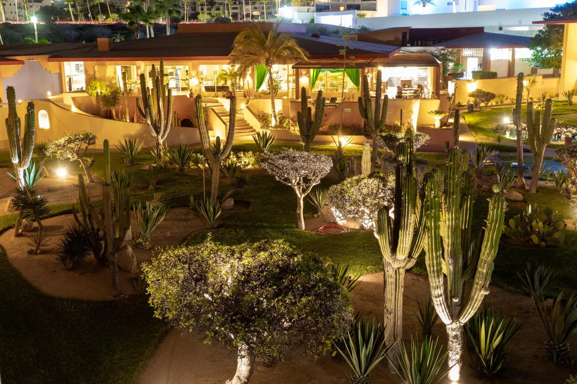 Illuminated cactus garden and resort buildings at night at Posada Real Los Cabos.