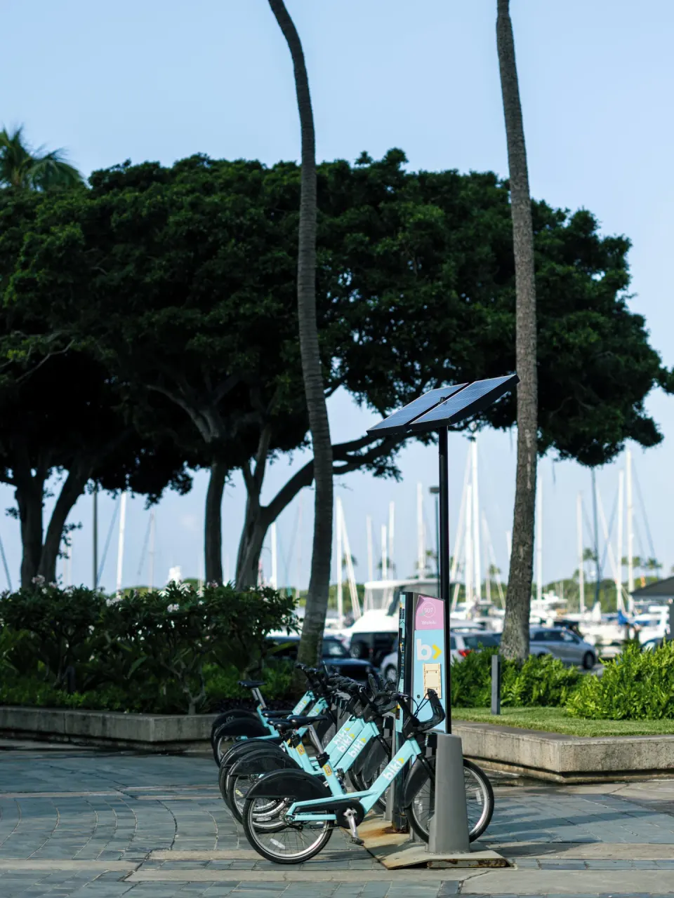 Bike-share station with marina and palm trees near Prince Waikiki.