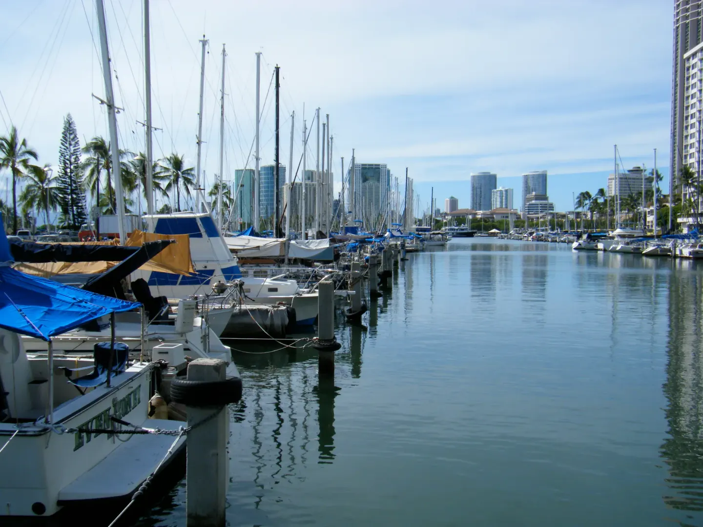 Ala Wai Yacht Harbor 1 Min Walk