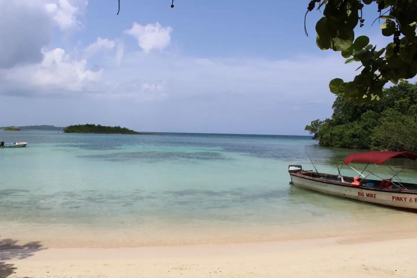 Half Moon Beach 10 Min Drive