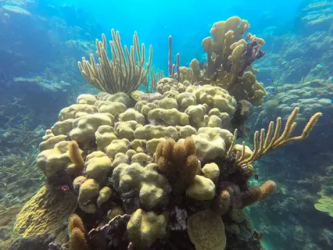 Samuel S Bay National Marine Park 10 Min Drive