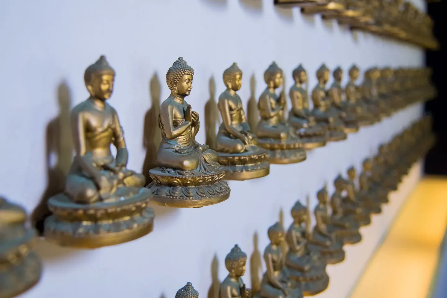 Rows of small Buddha statues on a wall at Privilege Aluxes Isla Mujeres.