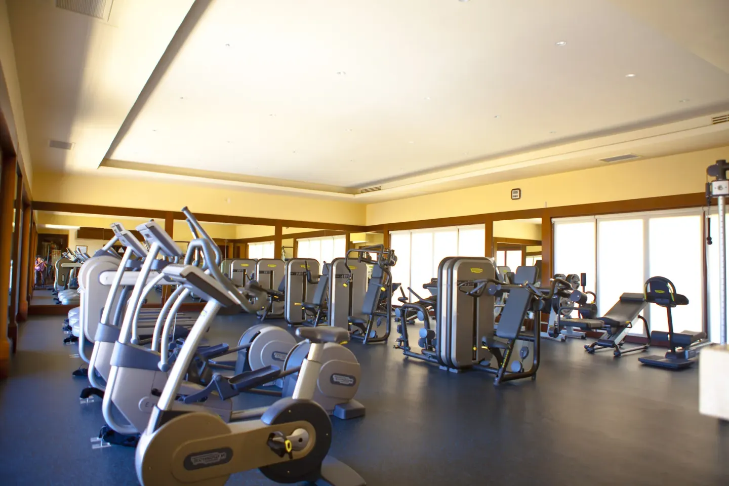 Fitness center with cardio and strength equipment at Pueblo Bonito Montecristo Luxury Villas.