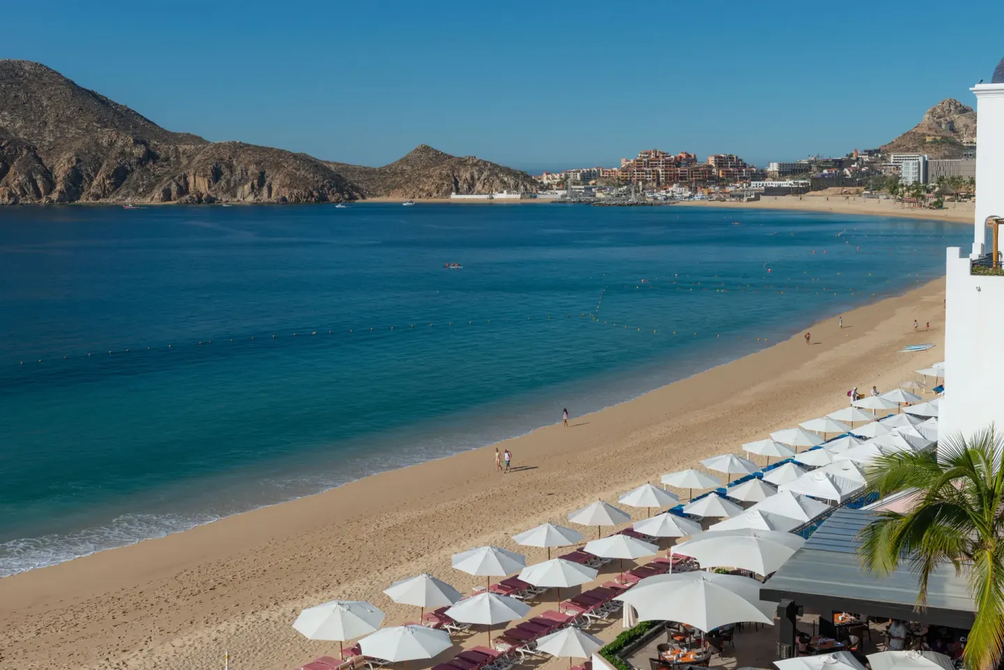 Beach umbrellas line the shore by Pueblo Bonito Rose Resort and Spa overlooking the bay.