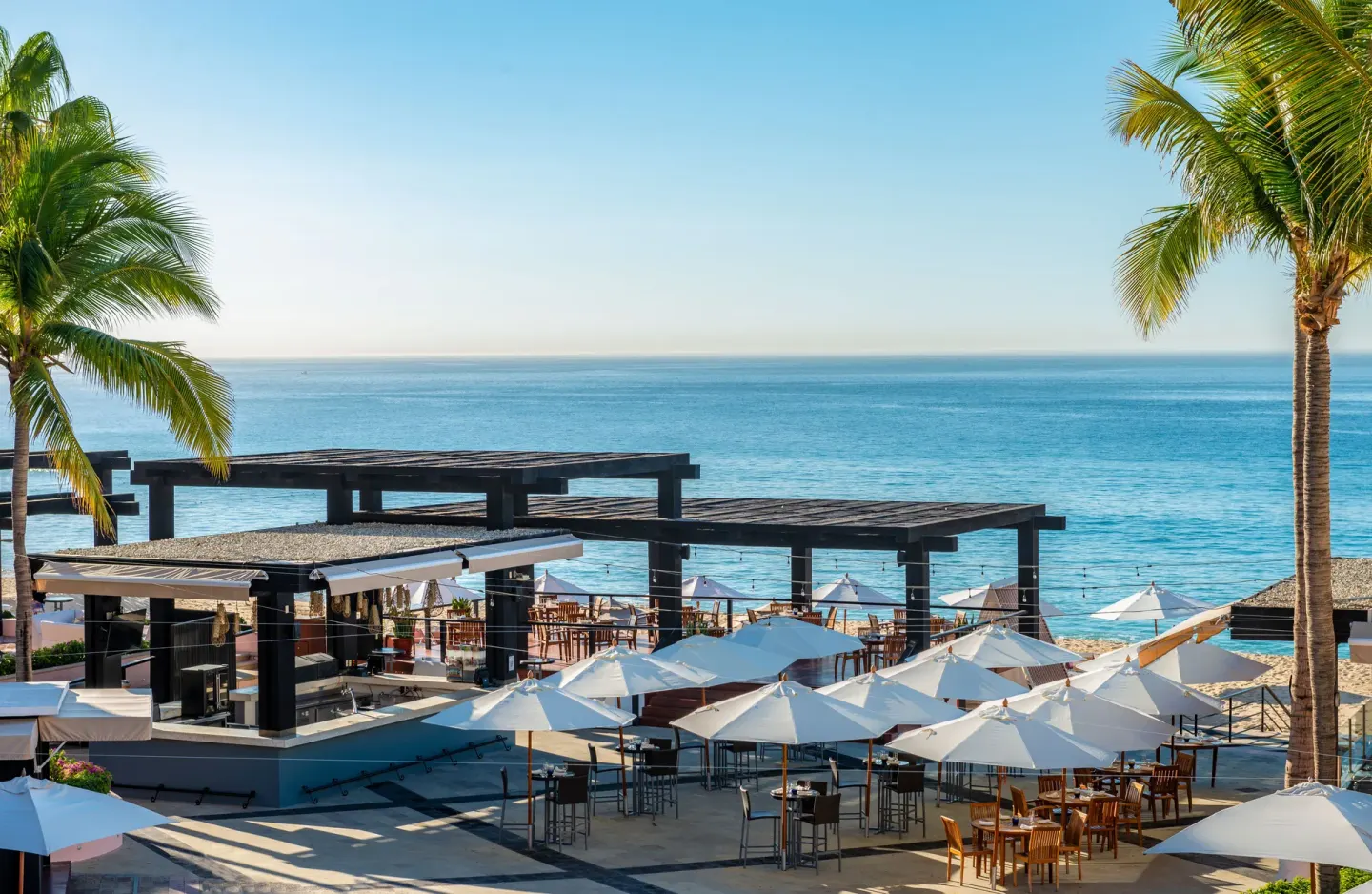 Resort terrace with umbrellas, palms, and ocean views at Pueblo Bonito Rose Resort and Spa.