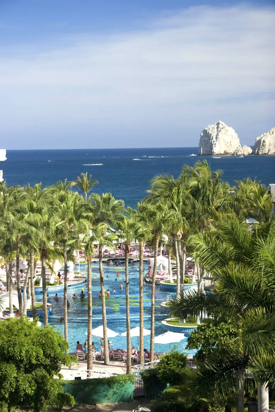 Palm-framed pool and ocean view with rock formations at Pueblo Bonito Rose Resort and Spa.