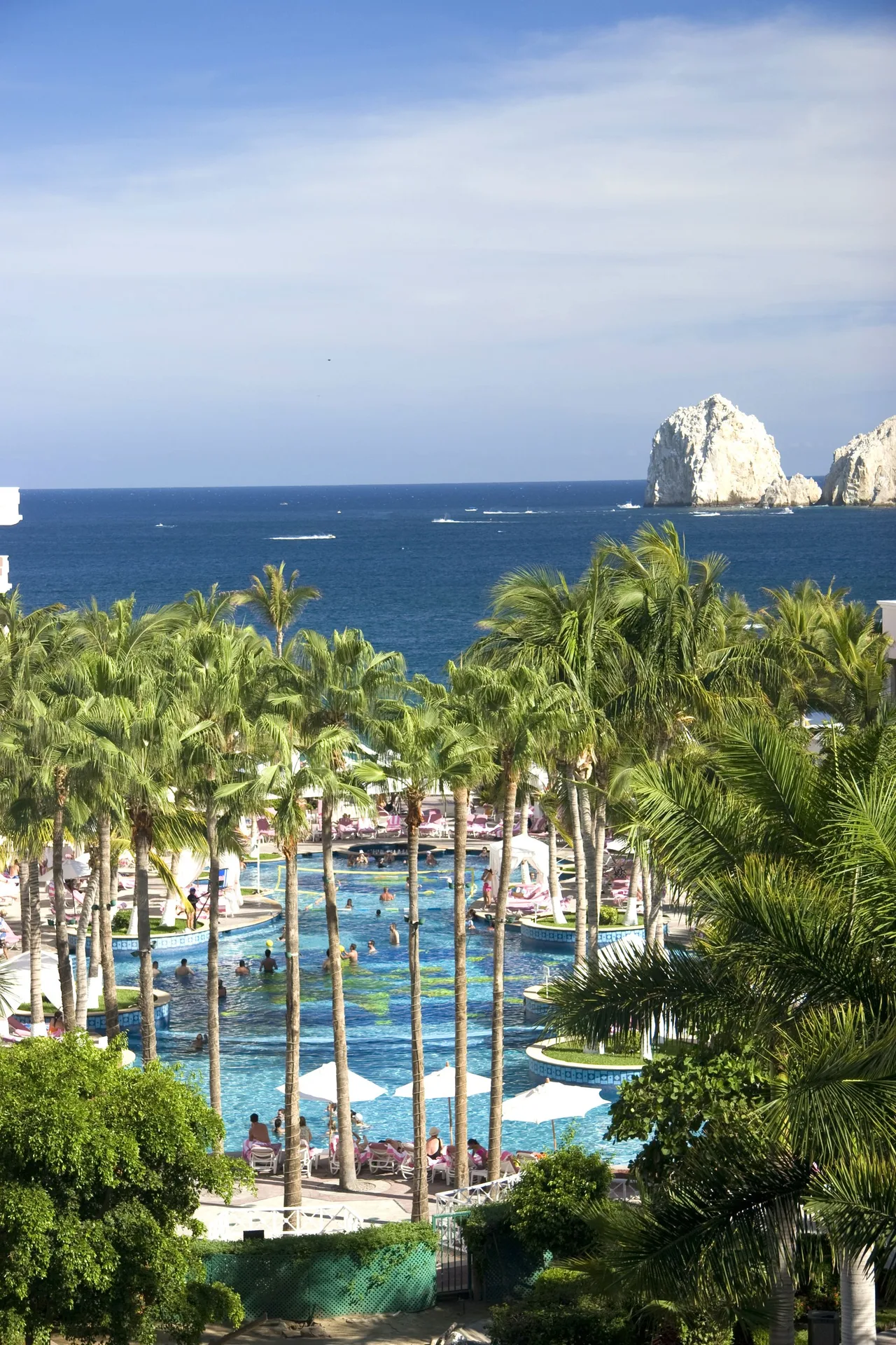 Palm-framed pool and ocean view with rock formations at Pueblo Bonito Rose Resort and Spa.