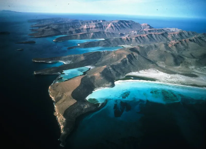 Islands And Protected Areas Of The Gulf Of California 5 Min Walk