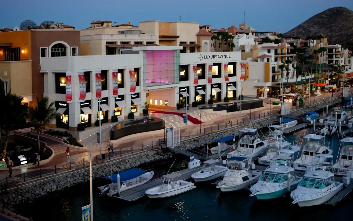 Luxury Avenue 15 Min Walk