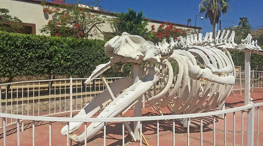 Las Californias Museum 5 Min Drive