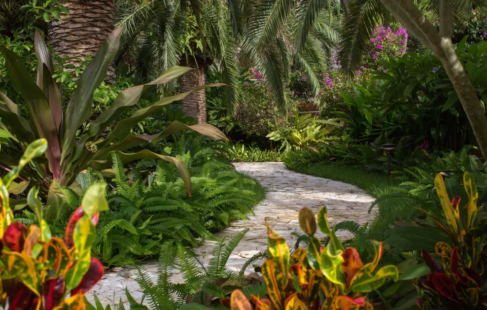 Stone garden path winding through tropical foliage at Quintessence Hotel