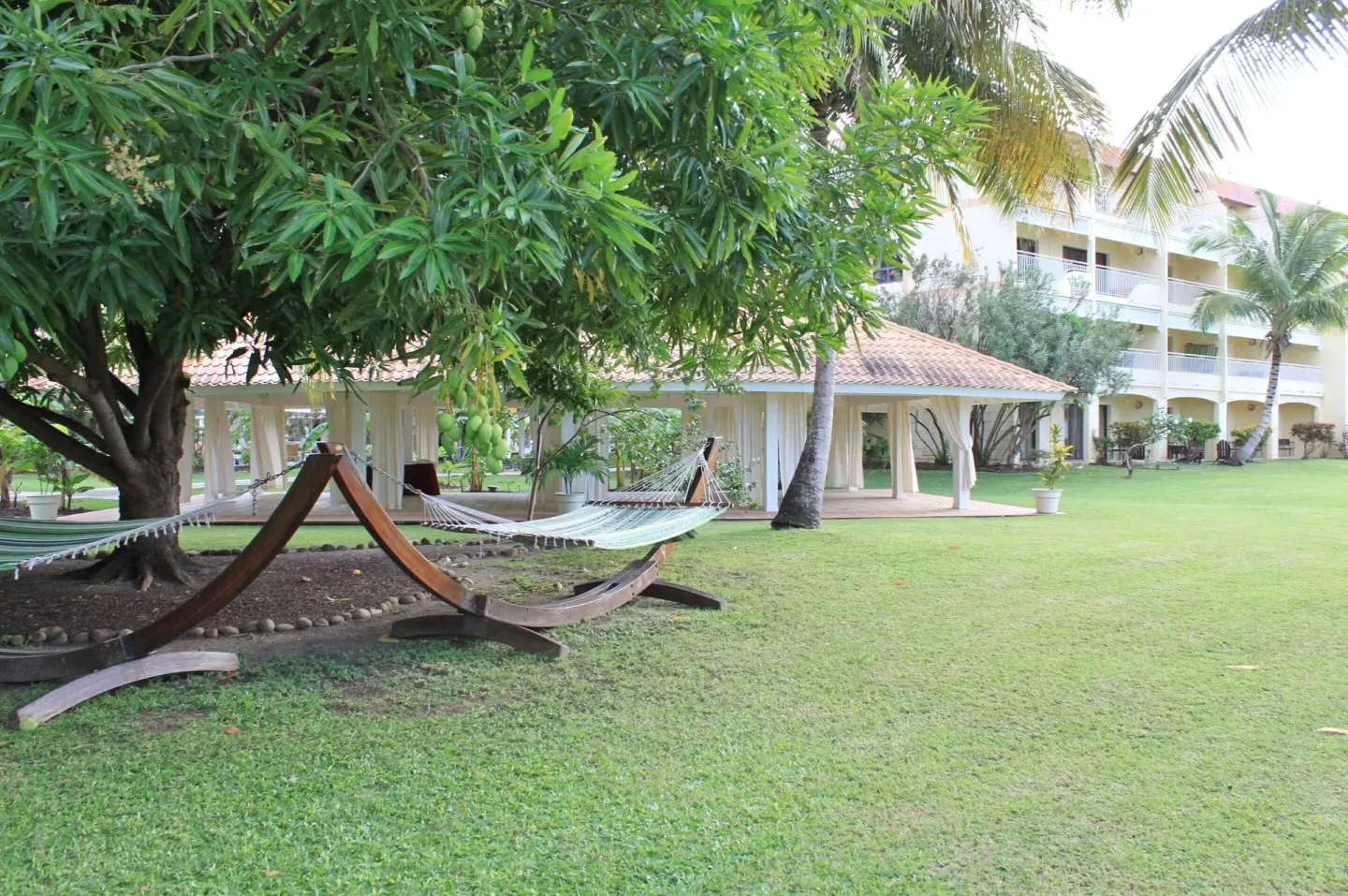 Hammock under a leafy tree on the lawn at Radisson Grenada Beach Resort.
