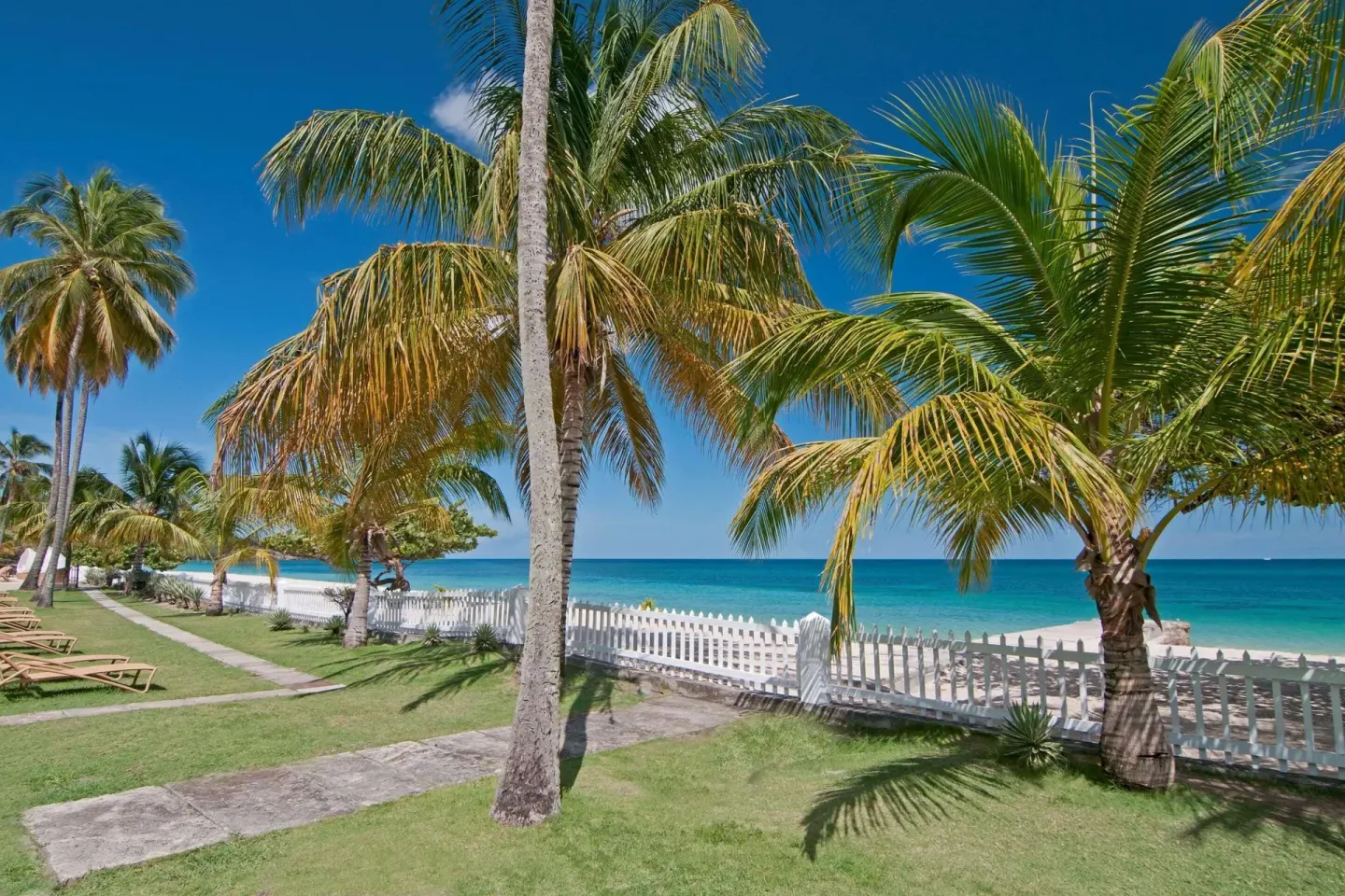 Palm-lined lawn and white fence beside the beach at Radisson Grenada Beach Resort.
