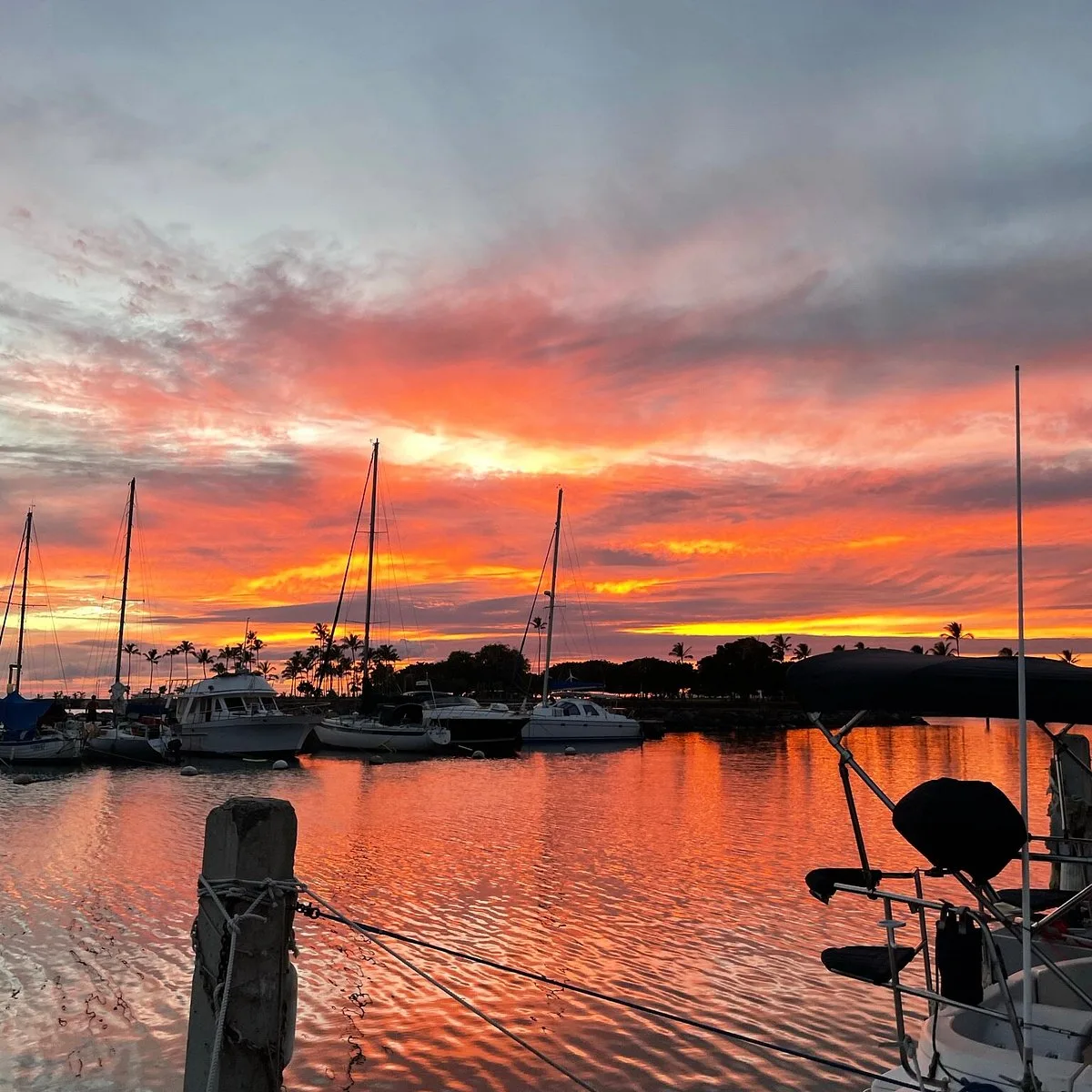 Ala Wai Yacht Harbor 5 Min Walk