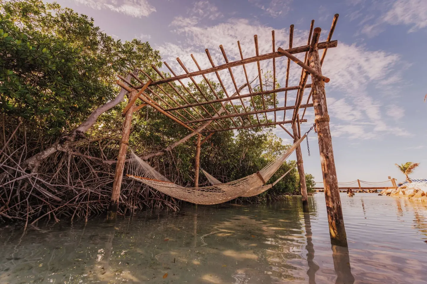 A hammock hangs over shallow water among mangroves at Renaissance Wind Creek Aruba Resort.