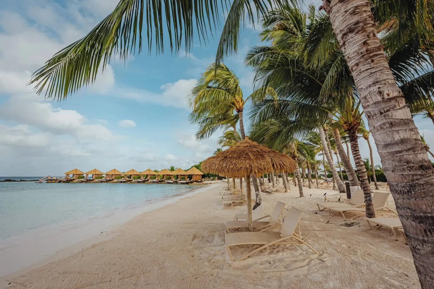 Palm trees, lounge chairs, and thatched umbrellas line the beach at Renaissance Wind Creek Aruba Resort.