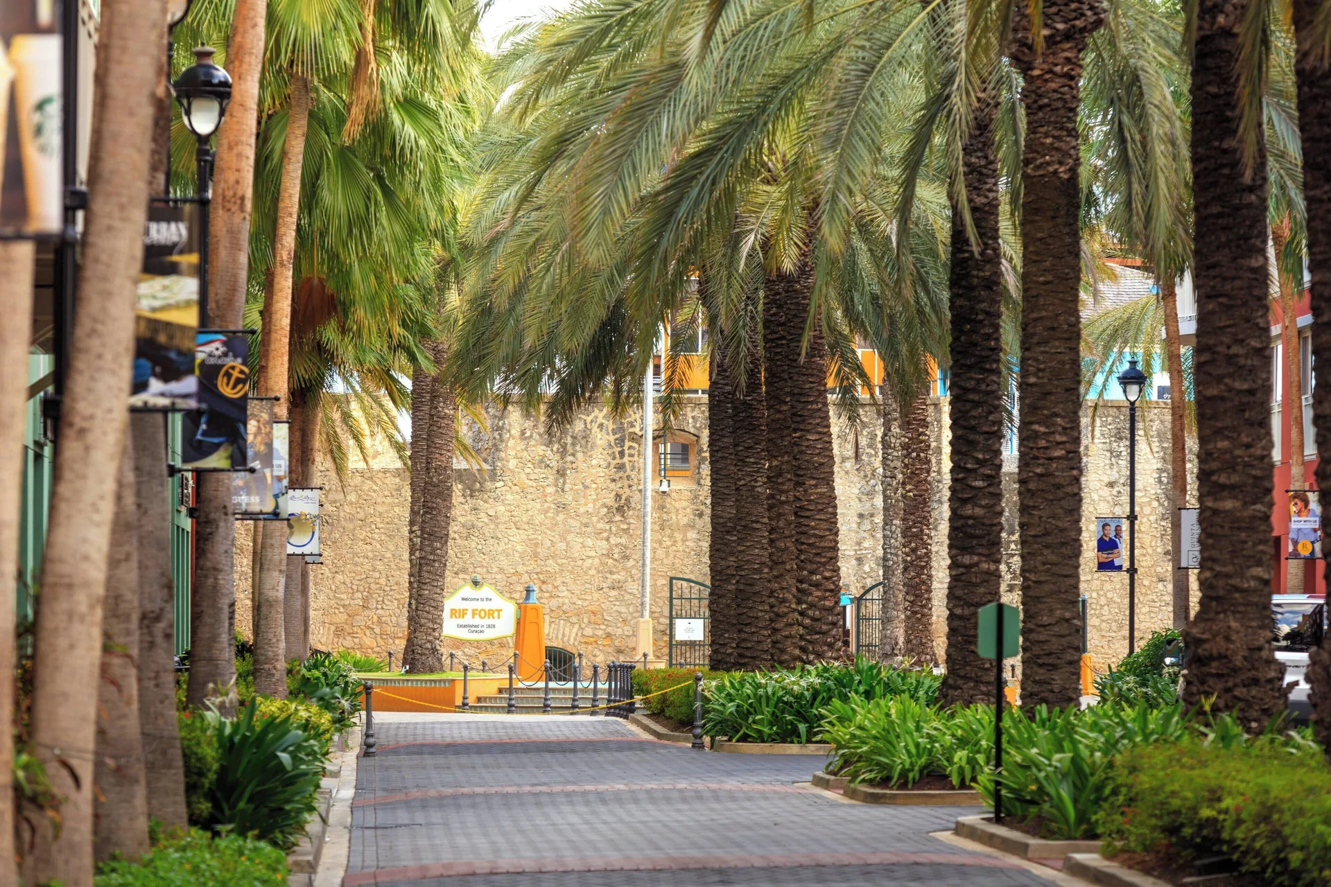 Palm-lined walkway near the Rif Fort at Renaissance Wind Creek Curacao Resort.