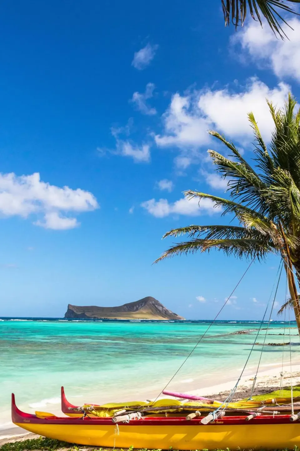 Beach with outrigger canoes, palm tree, blue water, and offshore island on Oahu near Kapolei.