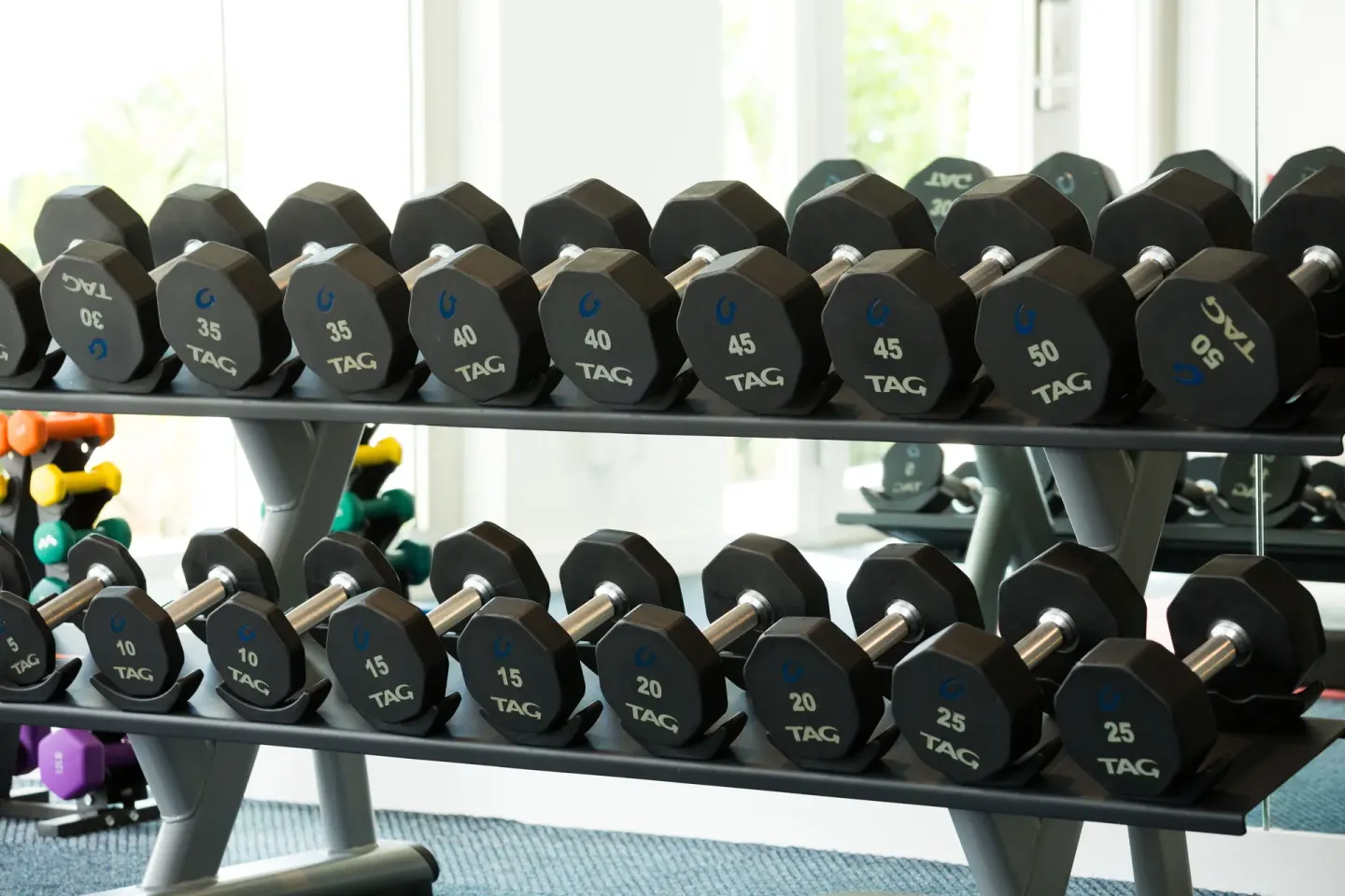 Rows of dumbbells on a rack in the fitness area at Rock House.