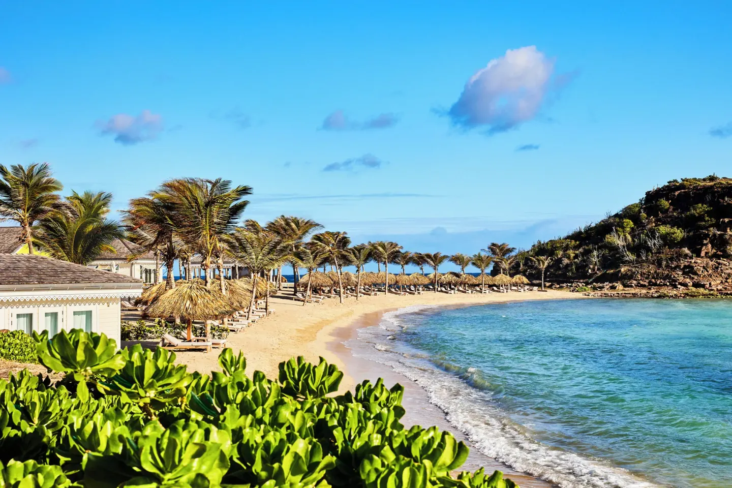 Ocean Bay Room beach view with palms and blue water at Rosewood Le Guanahani St Barth.