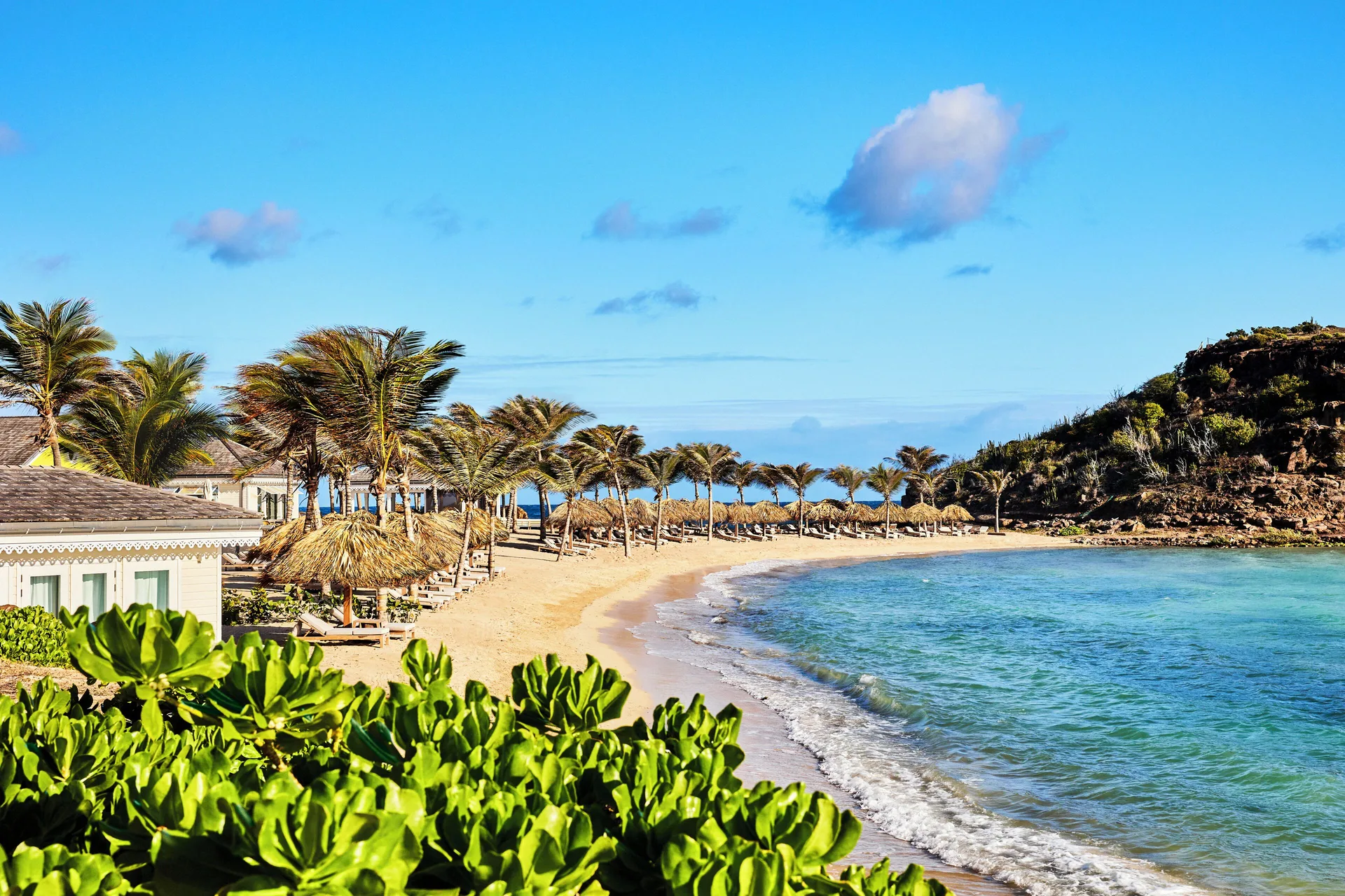 Ocean Bay Room beach view with palms and blue water at Rosewood Le Guanahani St Barth.