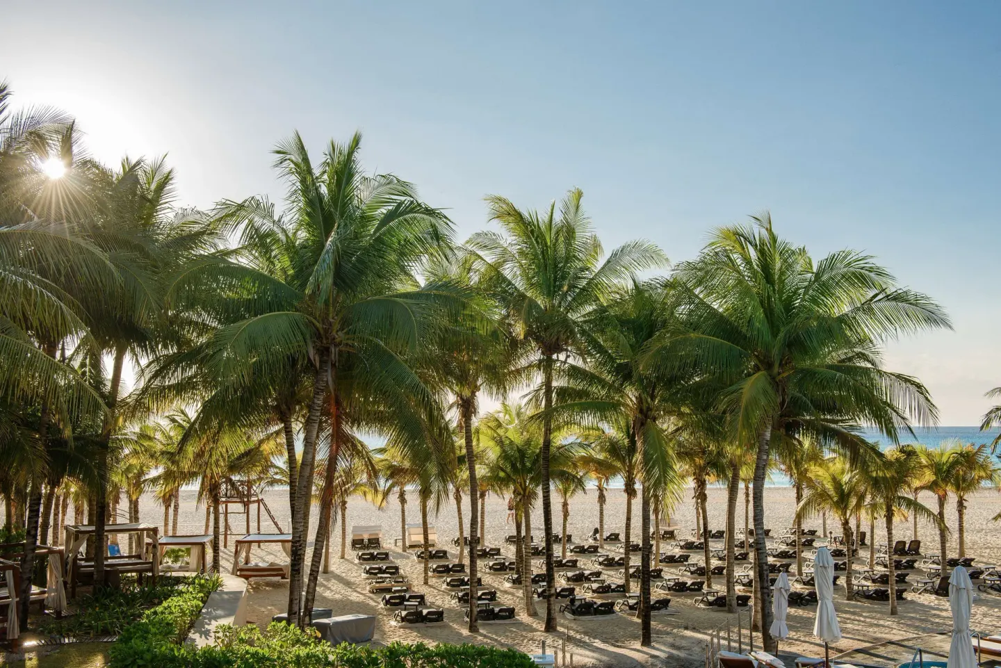 Palm-lined beach with loungers and ocean beyond at Royal Hideaway Playacar.