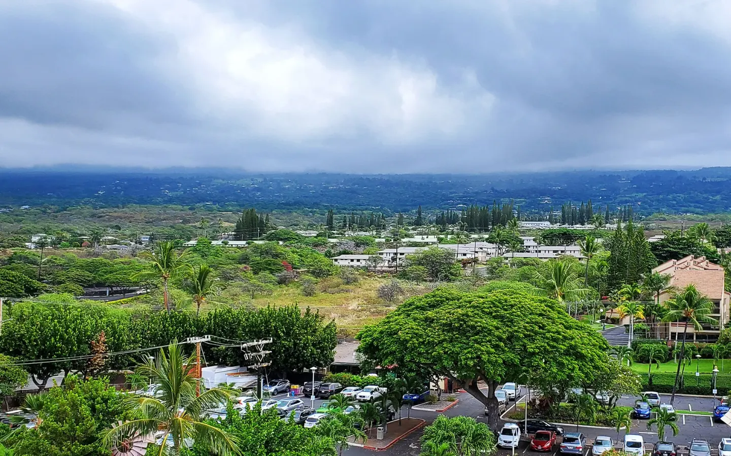 Standard Room view of parking, palms, and green hills at Royal Kona Resort.
