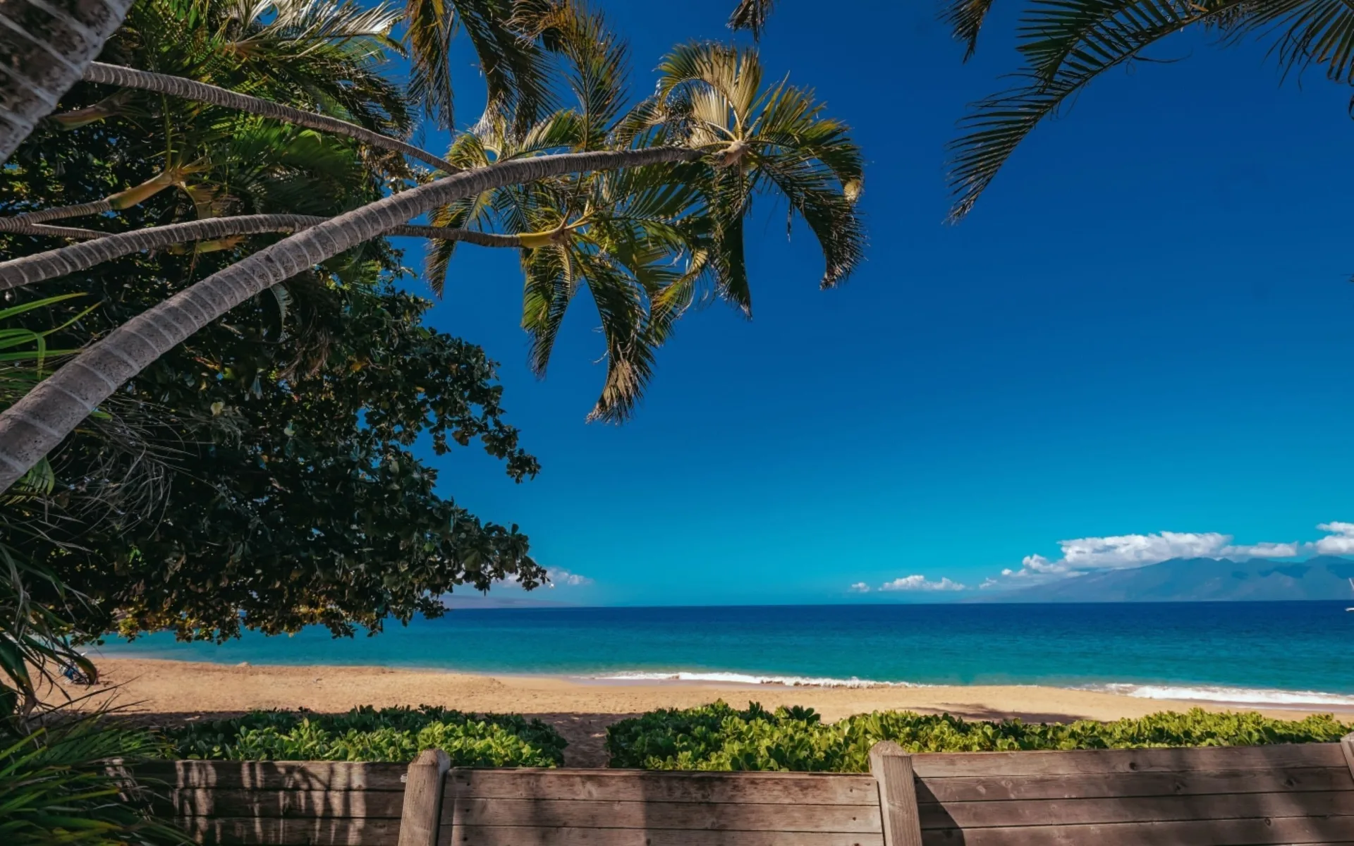 Beach and ocean framed by palms and a wooden fence at Royal Lahaina Resort & Bungalows.
