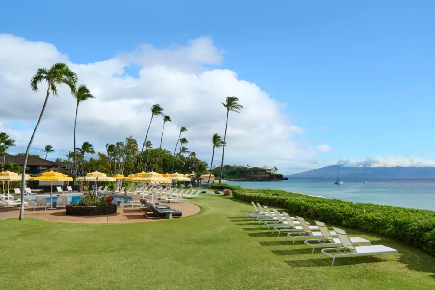 Seaside lawn with lounge chairs and pool umbrellas at Royal Lahaina Resort & Bungalows.