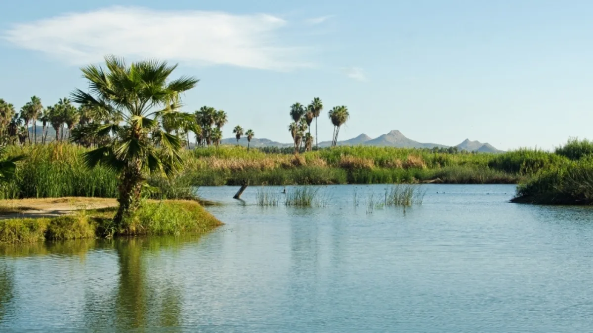 San Jose Estuary 10 Min Walk