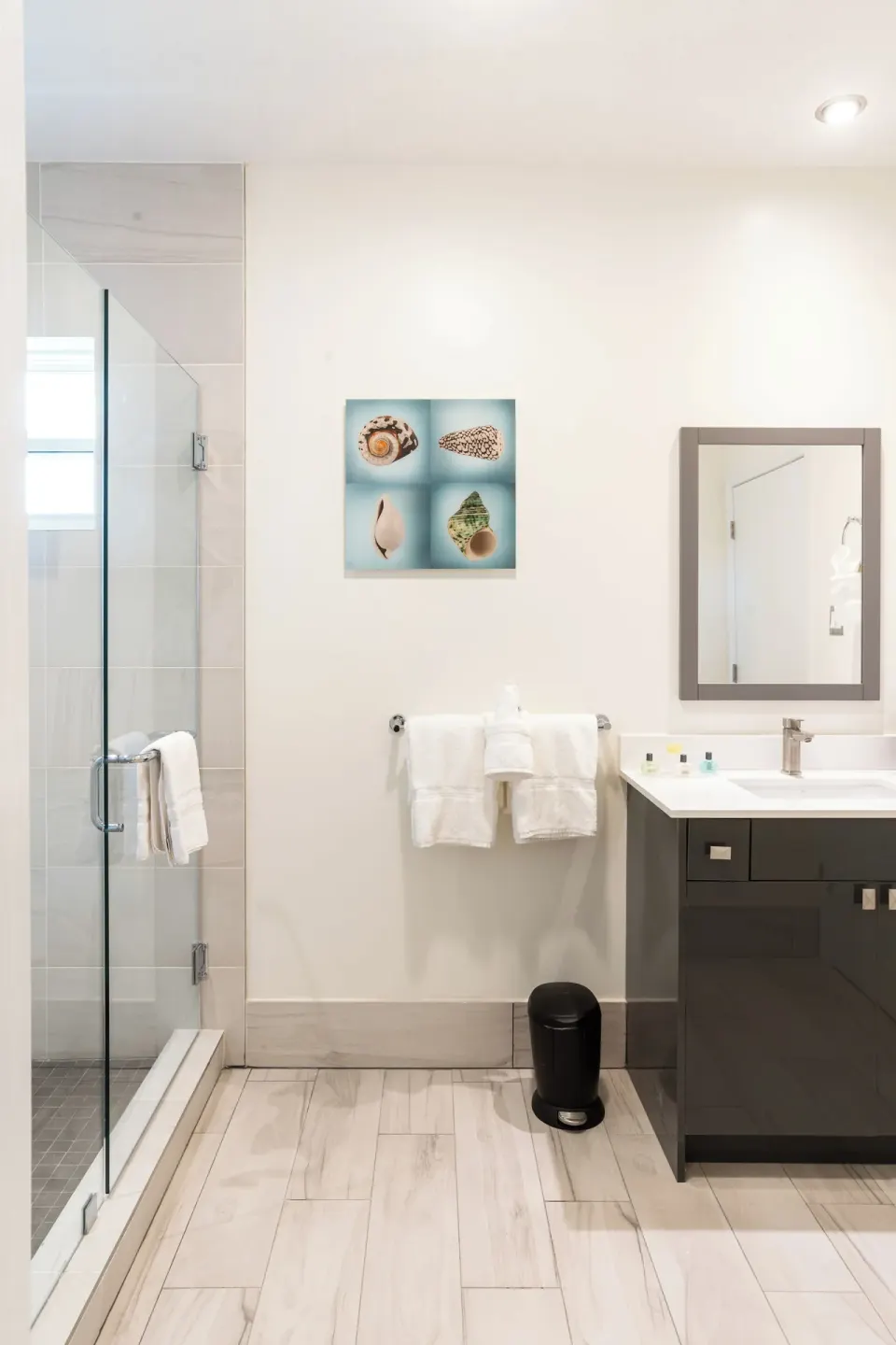 Bathroom vanity, glass shower, and towel rack at Royal St. Kitts Hotel.