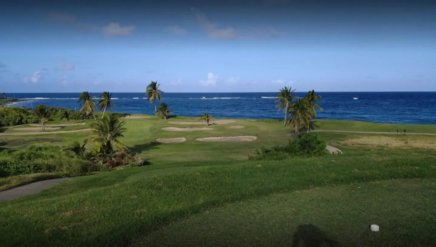 Oceanfront golf green with palms near Royal St. Kitts Hotel.