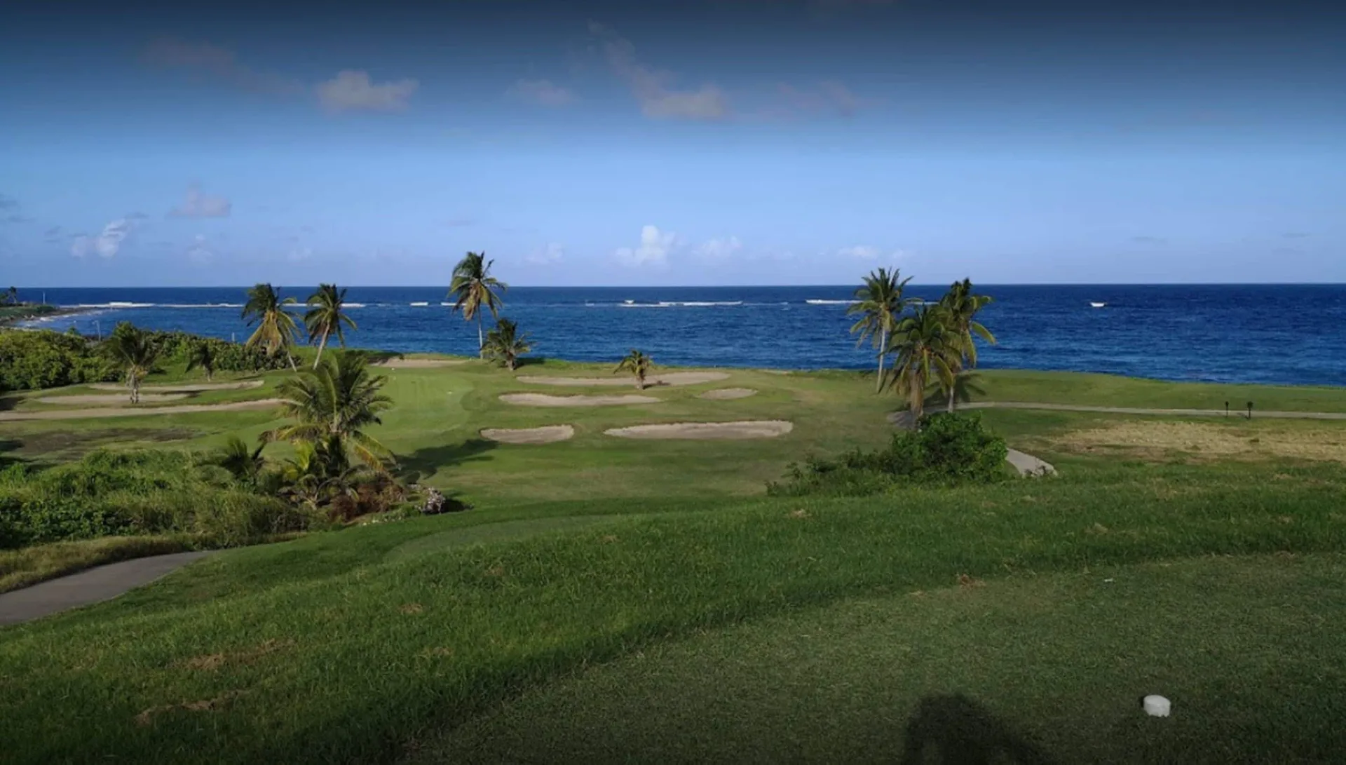 Oceanfront golf green with palms near Royal St. Kitts Hotel.