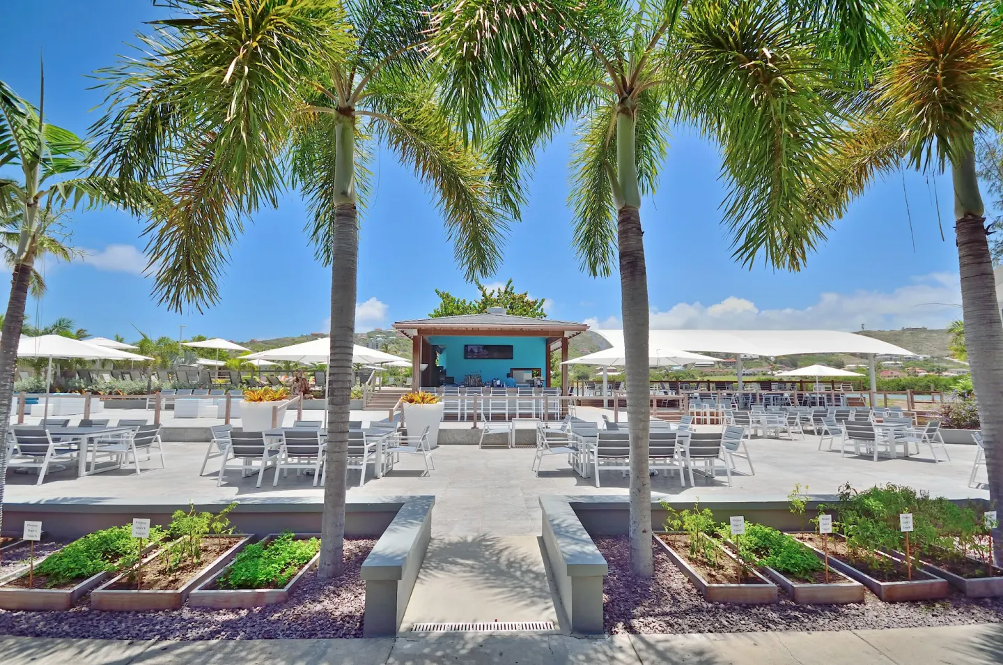 Outdoor seating terrace with palm trees and umbrellas at Royal St. Kitts Hotel.