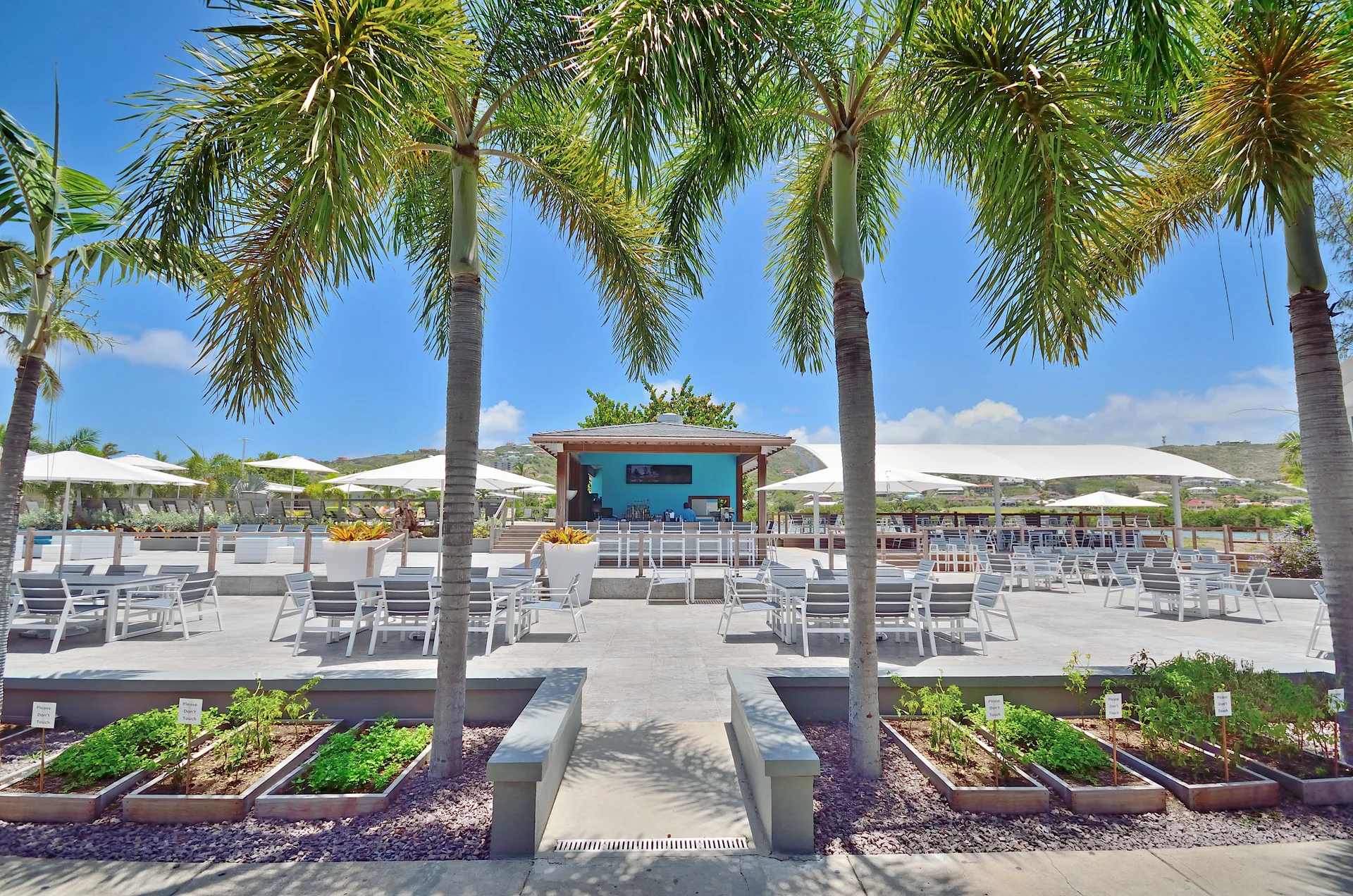 Outdoor seating terrace with palm trees and umbrellas at Royal St. Kitts Hotel.