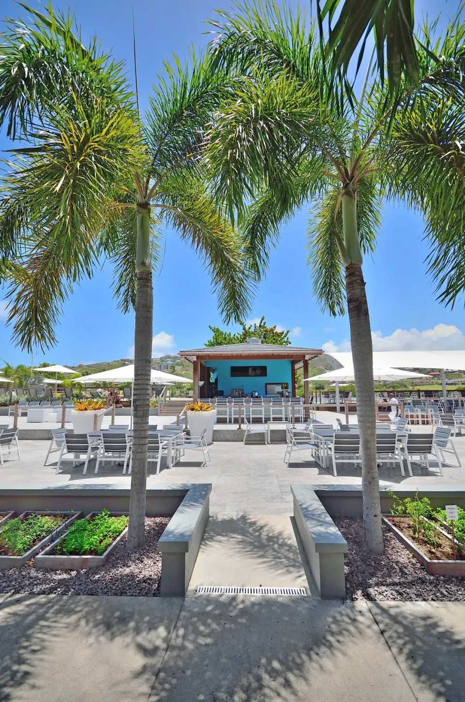 Palm-framed outdoor terrace seating at Royal St. Kitts Hotel.