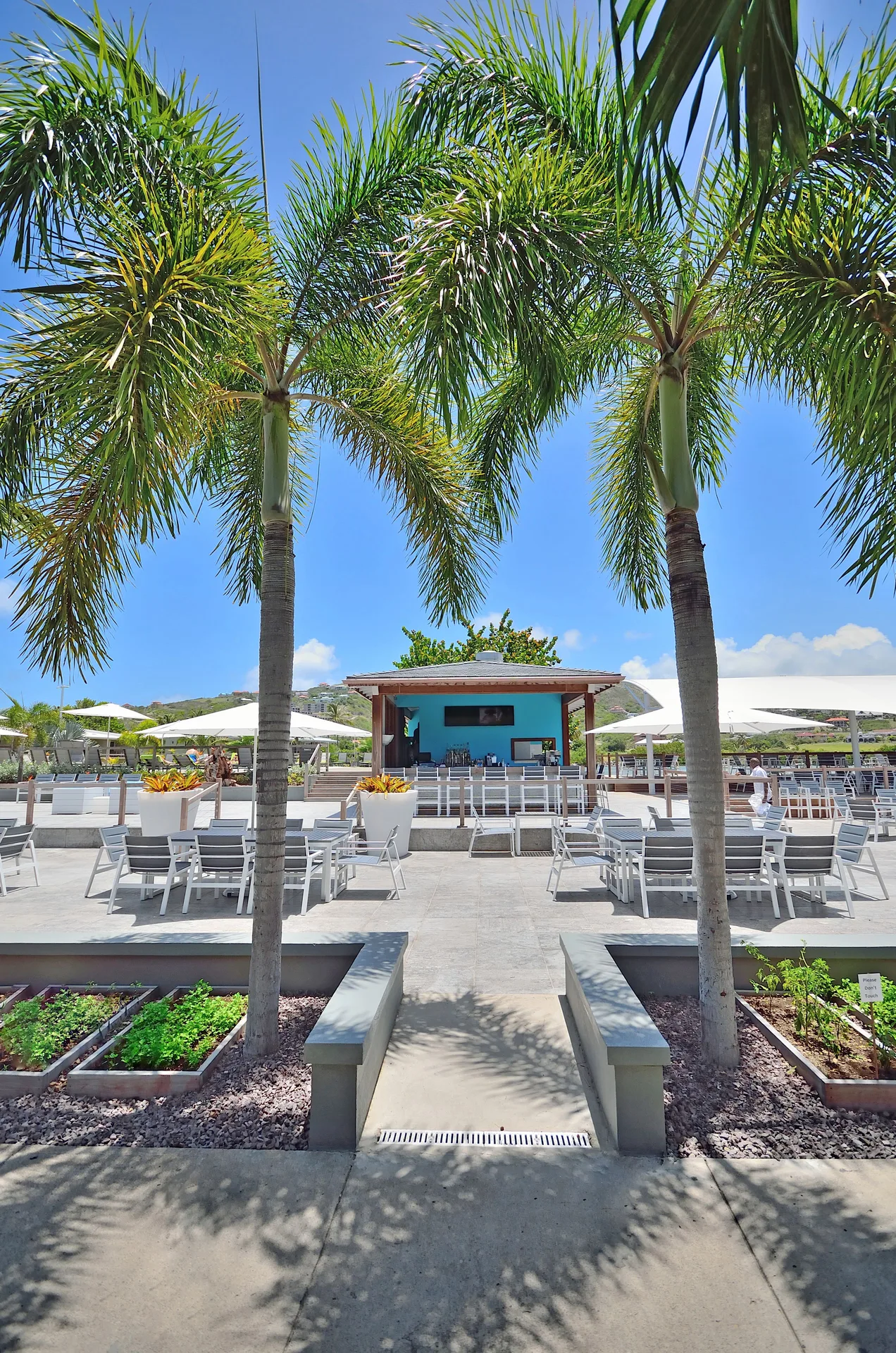 Palm-framed outdoor terrace seating at Royal St. Kitts Hotel.