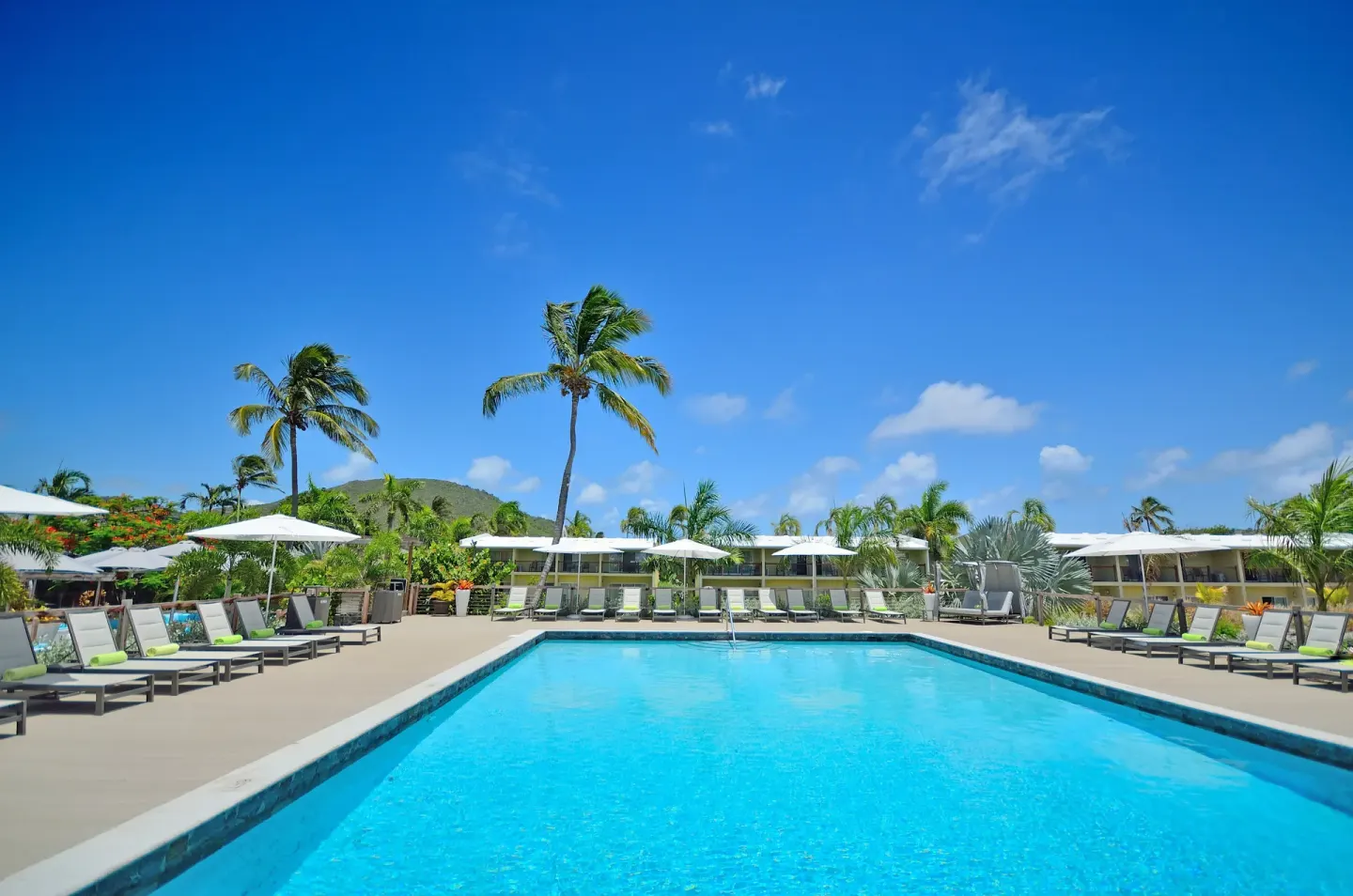 Pool with loungers, umbrellas, and palms at Royal St. Kitts Hotel.