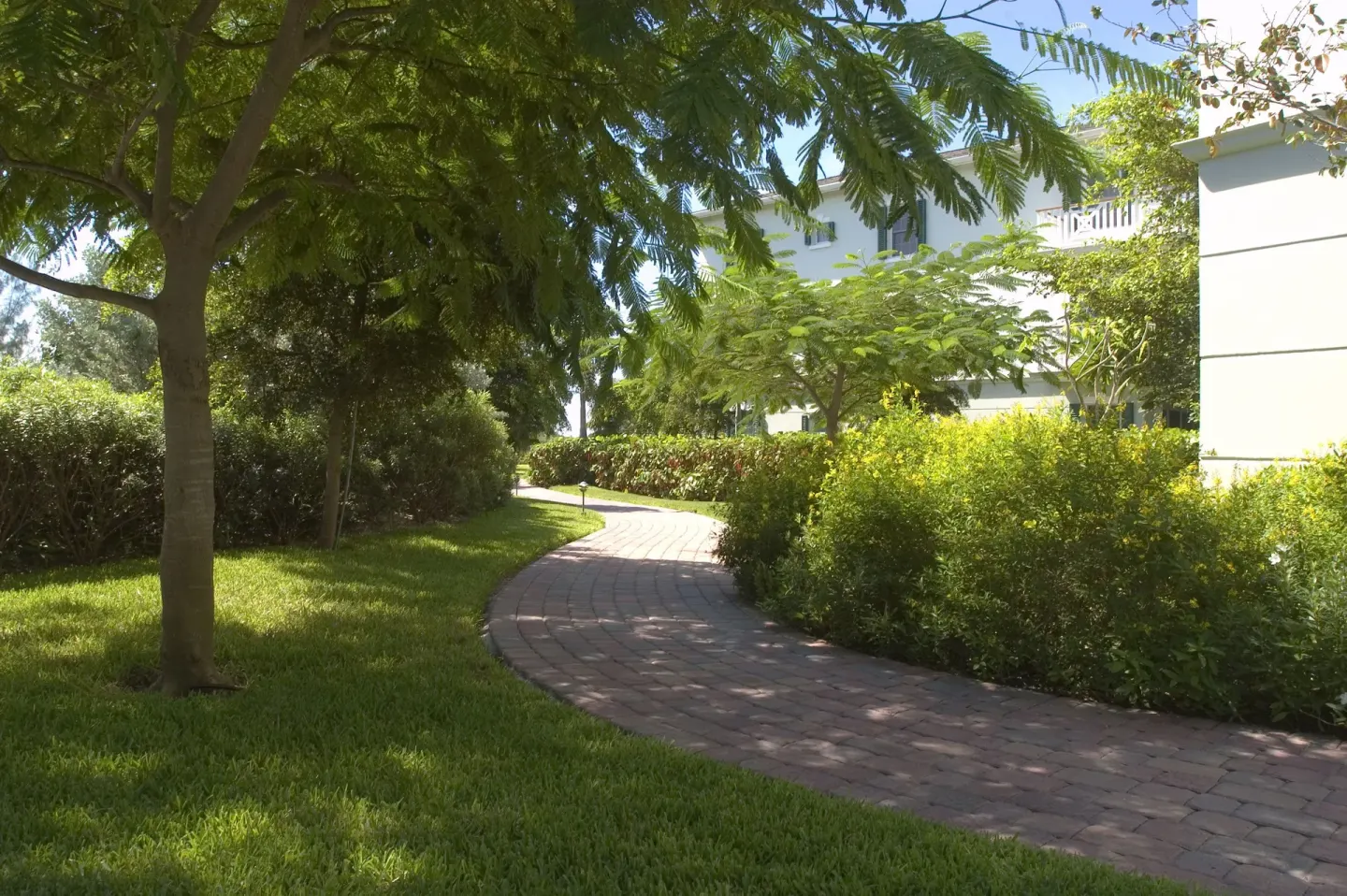Curving brick walkway through landscaped grounds at Royal West Indies Resort.