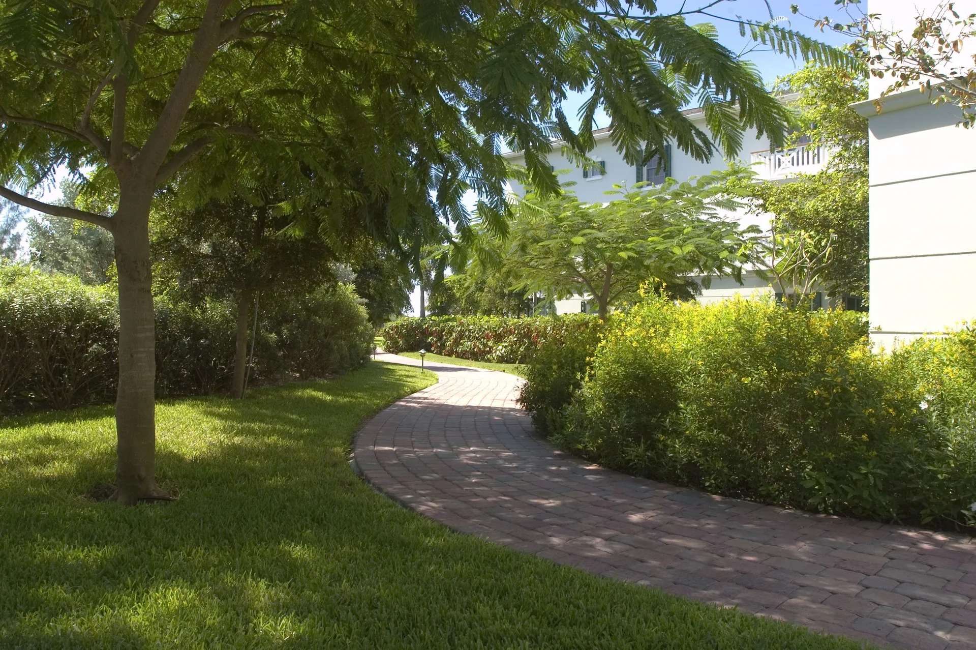 Curving brick walkway through landscaped grounds at Royal West Indies Resort.