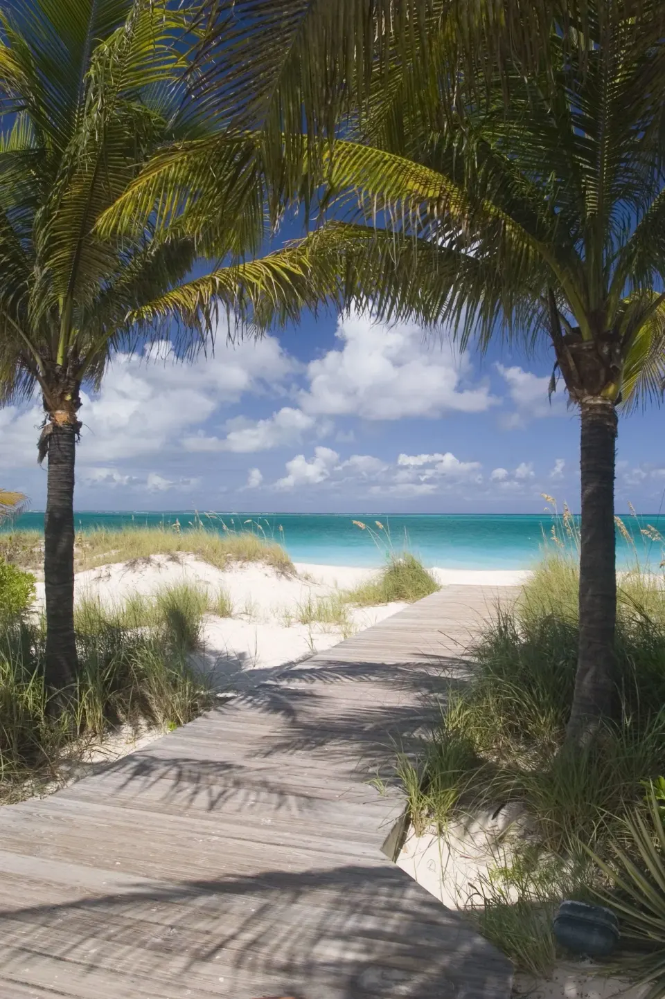 Palm-lined boardwalk leading to the beach at Royal West Indies Resort.
