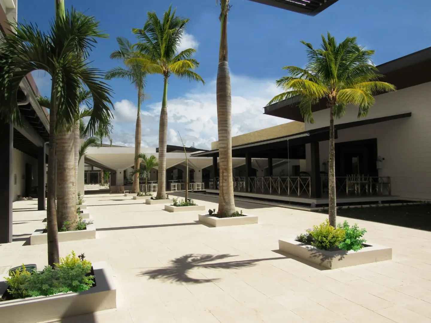Palm-lined resort courtyard at Royalton Blue Waters Montego Bay.