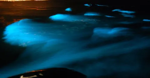 Luminous Lagoon 5 Min Drive