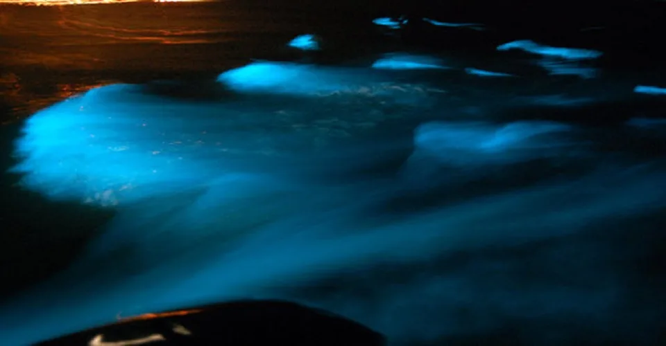 Luminous Lagoon 5 Min Drive